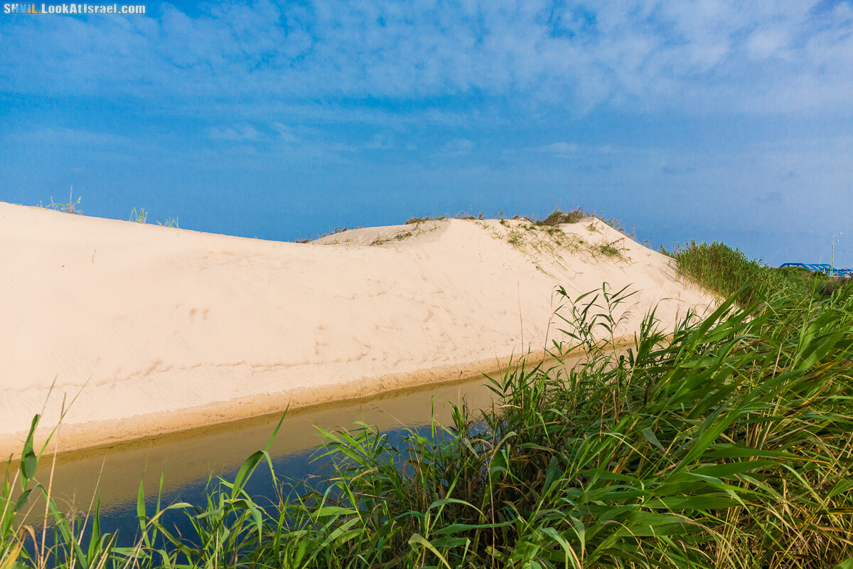 Израильская тропа, участок 15-1 Натания (Полег) - Арсуф Аполония| Israel National Trail | שביל ישראל, קטע 15- נתניה ארסוף אפולוניה | shvil.LookAtIsrael.com - Фото путешествия по Израилю