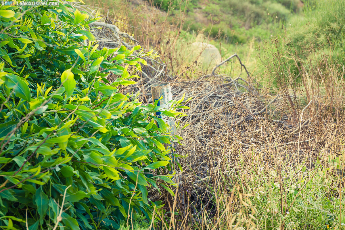 Израильская тропа, участок 15-1 Натания (Полег) - Арсуф Аполония| Israel National Trail | שביל ישראל, קטע 15- נתניה ארסוף אפולוניה | shvil.LookAtIsrael.com - Фото путешествия по Израилю