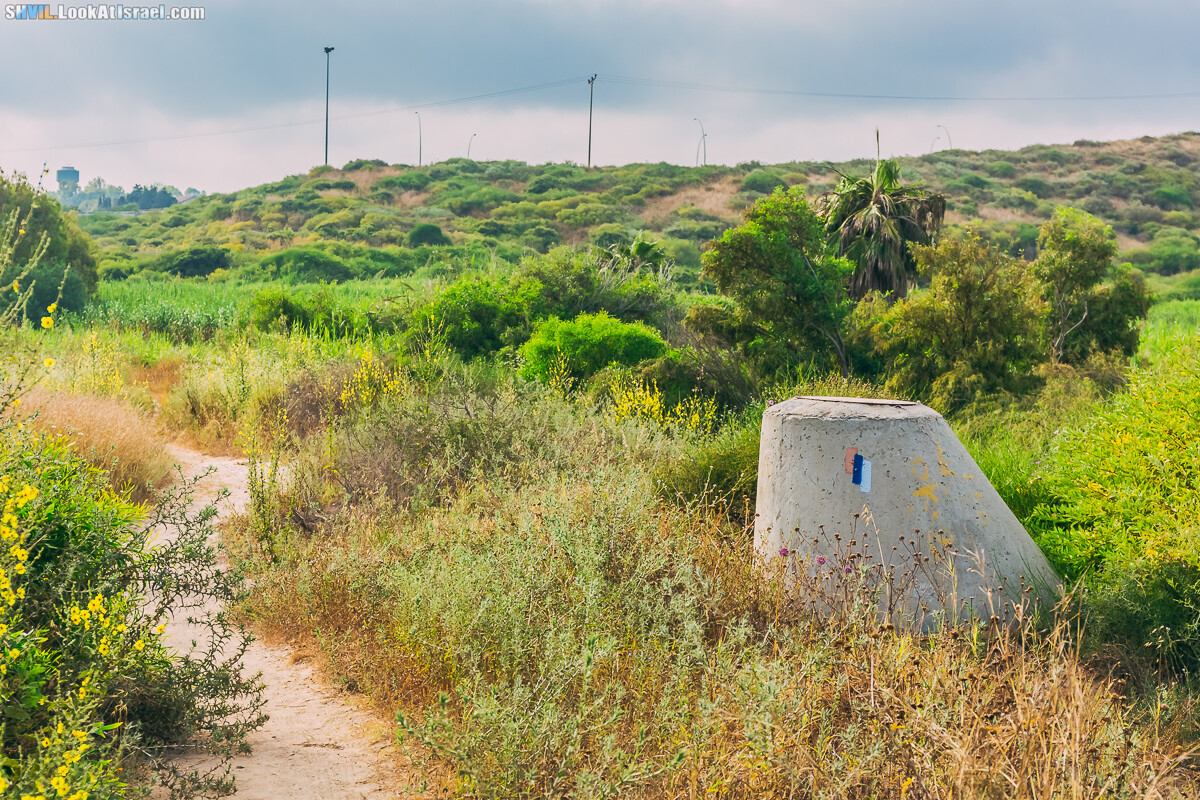 Израильская тропа, участок 15-1 Натания (Полег) - Арсуф Аполония| Israel National Trail | שביל ישראל, קטע 15- נתניה ארסוף אפולוניה | shvil.LookAtIsrael.com - Фото путешествия по Израилю