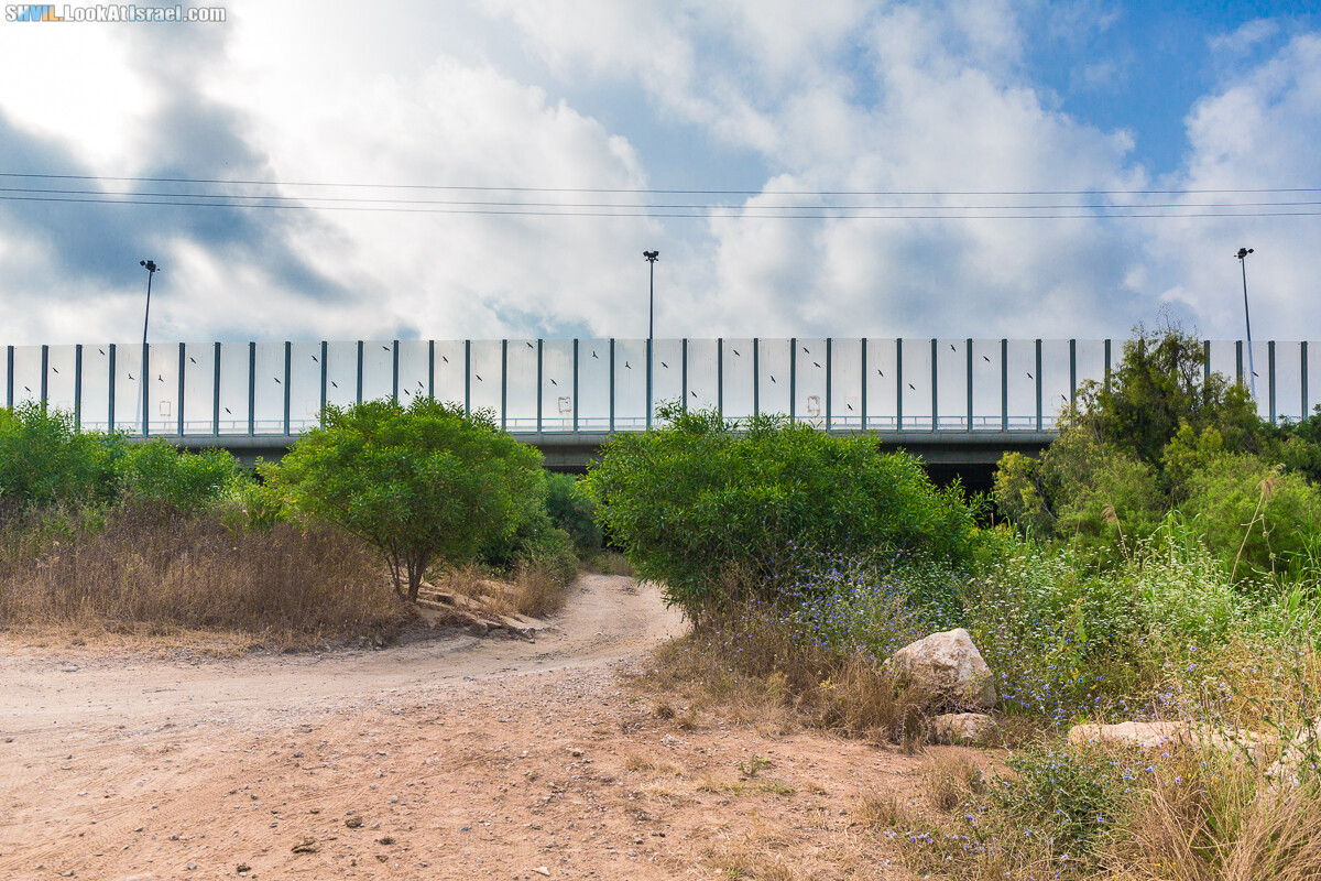 Израильская тропа, участок 15-1 Натания (Полег) - Арсуф Аполония| Israel National Trail | שביל ישראל, קטע 15- נתניה ארסוף אפולוניה | shvil.LookAtIsrael.com - Фото путешествия по Израилю
