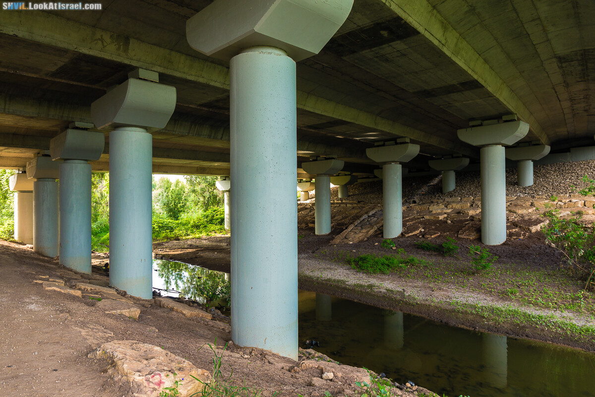 Израильская тропа, участок 15-1 Натания (Полег) - Арсуф Аполония| Israel National Trail | שביל ישראל, קטע 15- נתניה ארסוף אפולוניה | shvil.LookAtIsrael.com - Фото путешествия по Израилю