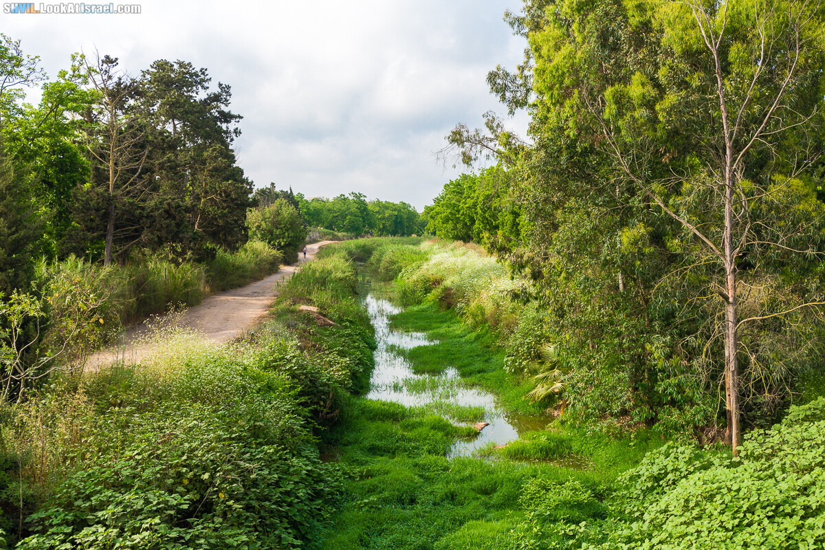 Израильская тропа, участок 15-1 Натания (Полег) - Арсуф Аполония| Israel National Trail | שביל ישראל, קטע 15- נתניה ארסוף אפולוניה | shvil.LookAtIsrael.com - Фото путешествия по Израилю