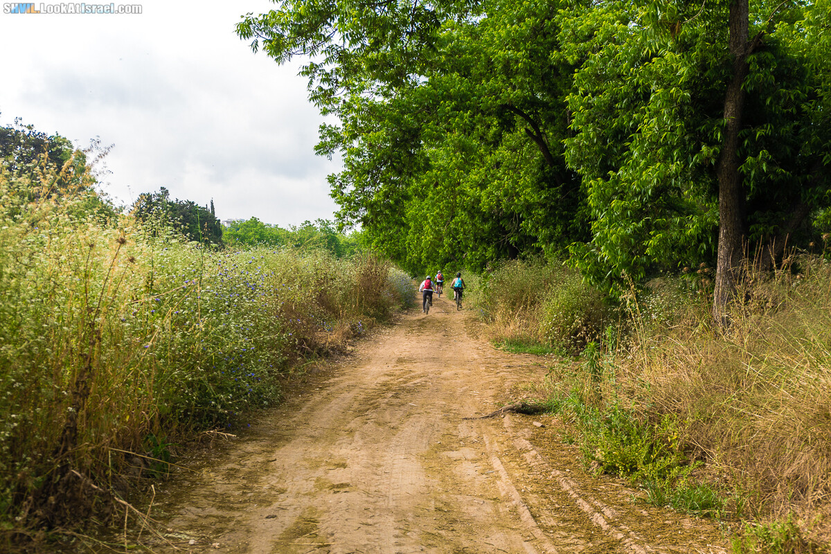 Израильская тропа, участок 15-1 Натания (Полег) - Арсуф Аполония| Israel National Trail | שביל ישראל, קטע 15- נתניה ארסוף אפולוניה | shvil.LookAtIsrael.com - Фото путешествия по Израилю