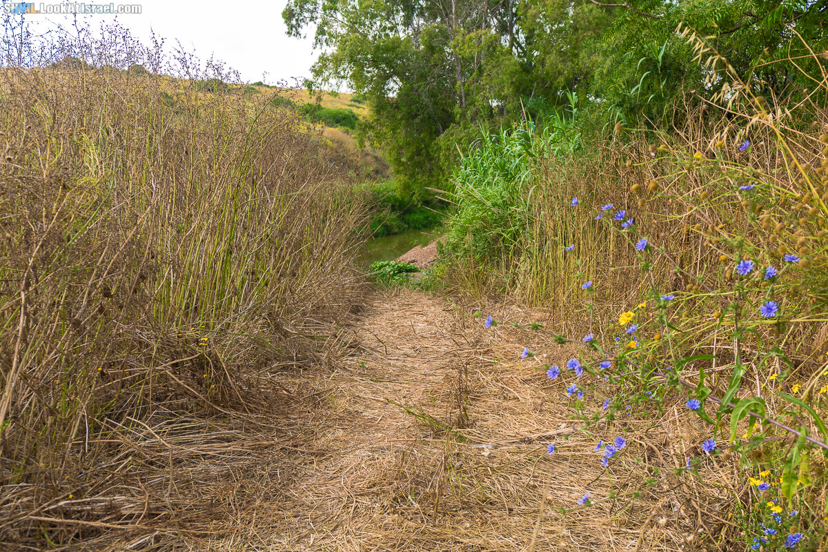 Израильская тропа, участок 15-1 Натания (Полег) - Арсуф Аполония| Israel National Trail | שביל ישראל, קטע 15- נתניה ארסוף אפולוניה | shvil.LookAtIsrael.com - Фото путешествия по Израилю