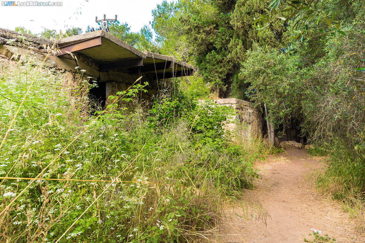 Израильская тропа, участок 15-1 Натания (Полег) - Арсуф Аполония| Israel National Trail | שביל ישראל, קטע 15- נתניה ארסוף אפולוניה | shvil.LookAtIsrael.com - Фото путешествия по Израилю