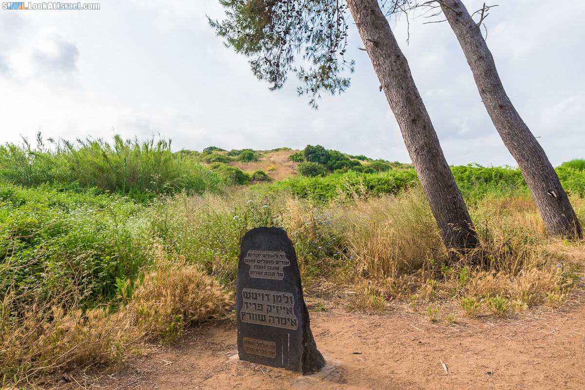 Израильская тропа, участок 15-1 Натания (Полег) - Арсуф Аполония| Israel National Trail | שביל ישראל, קטע 15- נתניה ארסוף אפולוניה | shvil.LookAtIsrael.com - Фото путешествия по Израилю