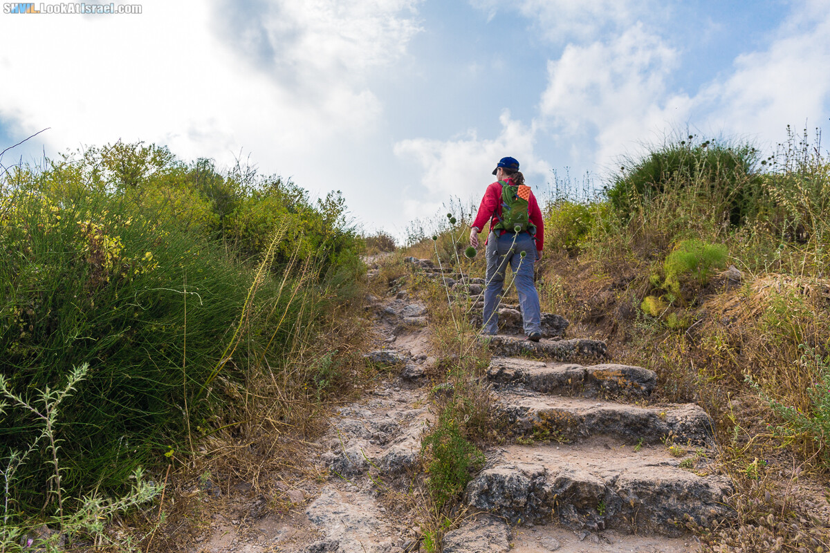 Израильская тропа, участок 15-1 Натания (Полег) - Арсуф Аполония| Israel National Trail | שביל ישראל, קטע 15- נתניה ארסוף אפולוניה | shvil.LookAtIsrael.com - Фото путешествия по Израилю