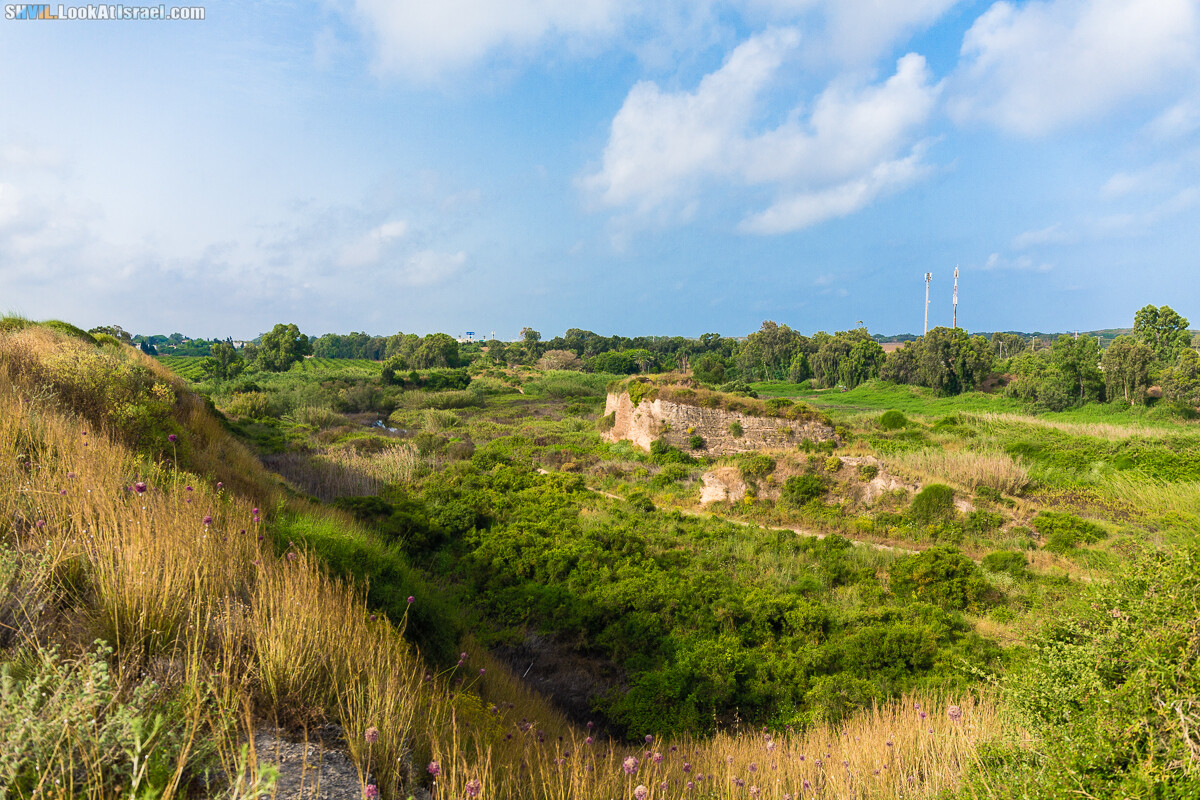Израильская тропа, участок 15-1 Натания (Полег) - Арсуф Аполония| Israel National Trail | שביל ישראל, קטע 15- נתניה ארסוף אפולוניה | shvil.LookAtIsrael.com - Фото путешествия по Израилю