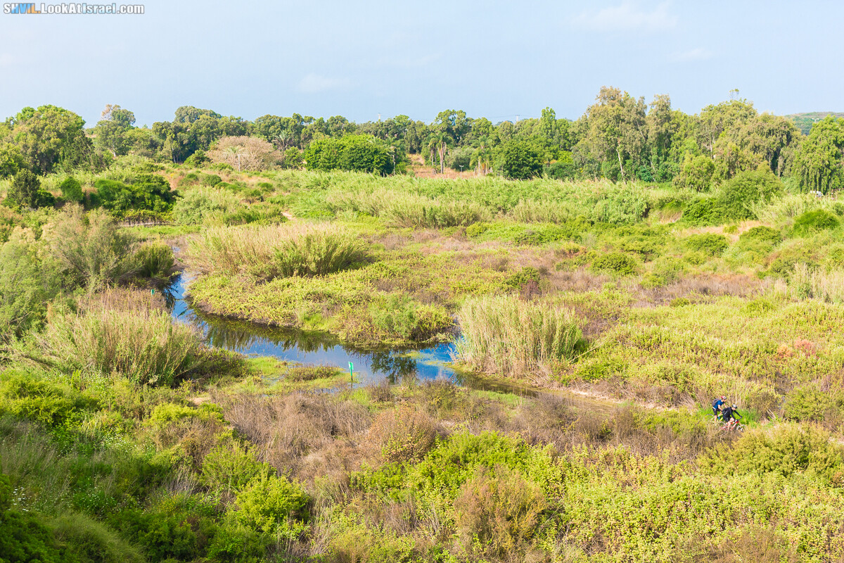 Израильская тропа, участок 15-1 Натания (Полег) - Арсуф Аполония| Israel National Trail | שביל ישראל, קטע 15- נתניה ארסוף אפולוניה | shvil.LookAtIsrael.com - Фото путешествия по Израилю