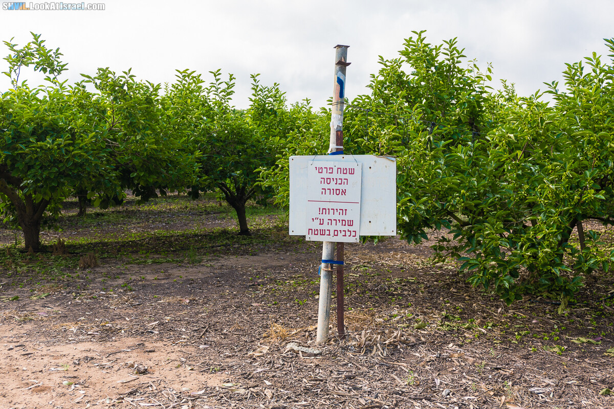 Израильская тропа, участок 15-1 Натания (Полег) - Арсуф Аполония| Israel National Trail | שביל ישראל, קטע 15- נתניה ארסוף אפולוניה | shvil.LookAtIsrael.com - Фото путешествия по Израилю
