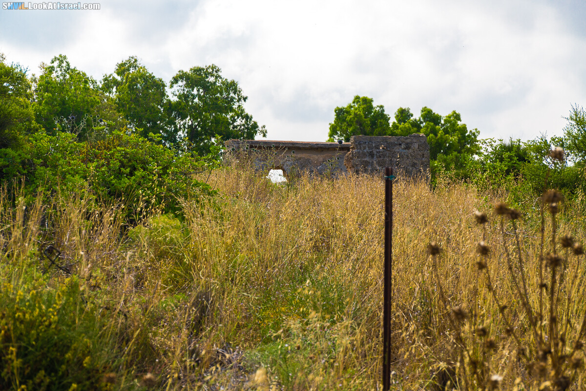 Израильская тропа, участок 15-1 Натания (Полег) - Арсуф Аполония| Israel National Trail | שביל ישראל, קטע 15- נתניה ארסוף אפולוניה | shvil.LookAtIsrael.com - Фото путешествия по Израилю