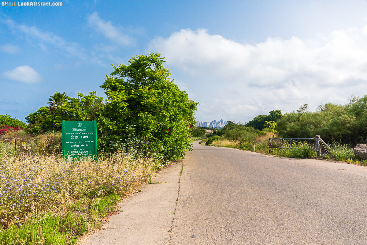 Израильская тропа, участок 15-1 Натания (Полег) - Арсуф Аполония| Israel National Trail | שביל ישראל, קטע 15- נתניה ארסוף אפולוניה | shvil.LookAtIsrael.com - Фото путешествия по Израилю