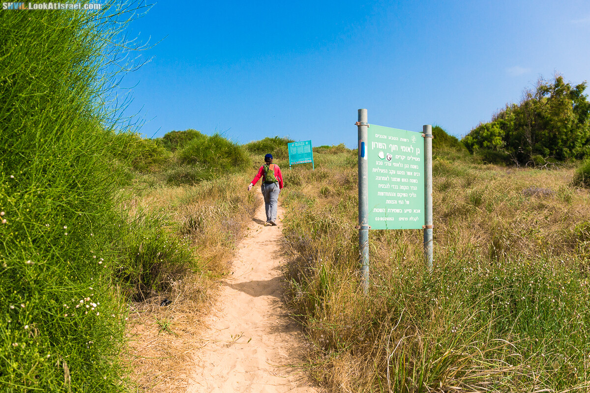 Израильская тропа, участок 15-1 Натания (Полег) - Арсуф Аполония| Israel National Trail | שביל ישראל, קטע 15- נתניה ארסוף אפולוניה | shvil.LookAtIsrael.com - Фото путешествия по Израилю