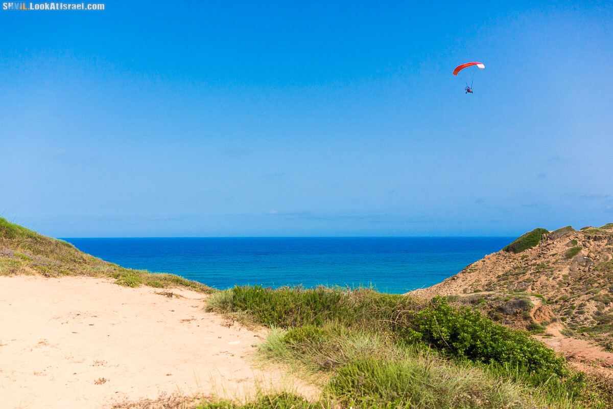 Израильская тропа, участок 15-1 Натания (Полег) - Арсуф Аполония| Israel National Trail | שביל ישראל, קטע 15- נתניה ארסוף אפולוניה | shvil.LookAtIsrael.com - Фото путешествия по Израилю