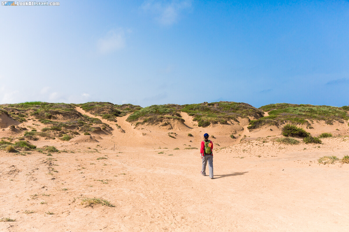 Израильская тропа, участок 15-1 Натания (Полег) - Арсуф Аполония| Israel National Trail | שביל ישראל, קטע 15- נתניה ארסוף אפולוניה | shvil.LookAtIsrael.com - Фото путешествия по Израилю