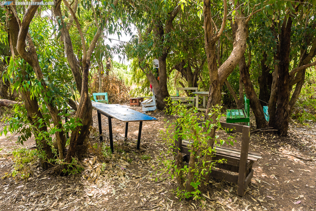 Израильская тропа, участок 15-1 Натания (Полег) - Арсуф Аполония| Israel National Trail | שביל ישראל, קטע 15- נתניה ארסוף אפולוניה | shvil.LookAtIsrael.com - Фото путешествия по Израилю