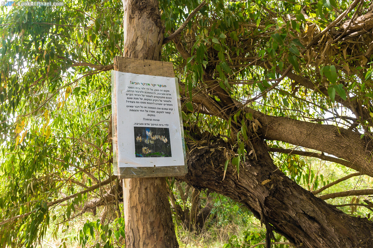 Израильская тропа, участок 15-1 Натания (Полег) - Арсуф Аполония| Israel National Trail | שביל ישראל, קטע 15- נתניה ארסוף אפולוניה | shvil.LookAtIsrael.com - Фото путешествия по Израилю