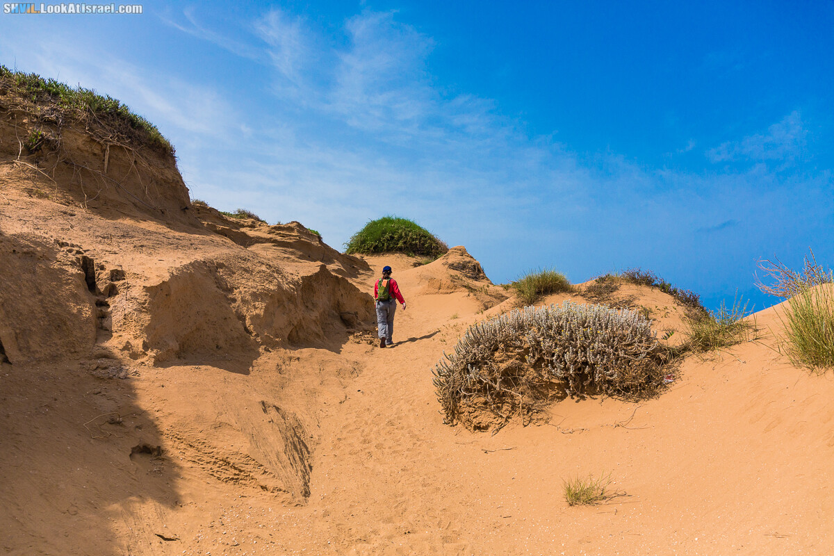 Израильская тропа, участок 15-1 Натания (Полег) - Арсуф Аполония| Israel National Trail | שביל ישראל, קטע 15- נתניה ארסוף אפולוניה | shvil.LookAtIsrael.com - Фото путешествия по Израилю