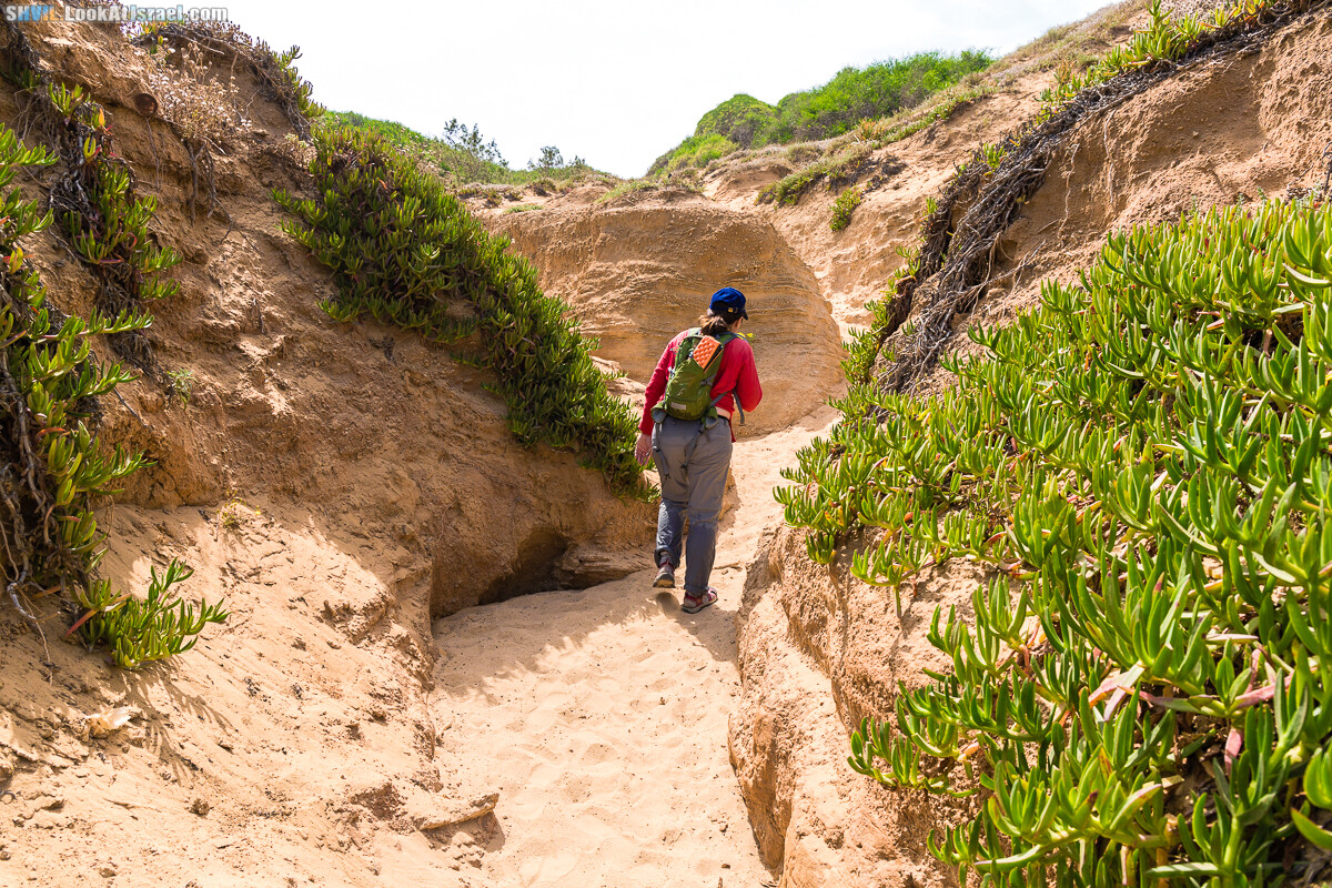 Израильская тропа, участок 15-1 Натания (Полег) - Арсуф Аполония| Israel National Trail | שביל ישראל, קטע 15- נתניה ארסוף אפולוניה | shvil.LookAtIsrael.com - Фото путешествия по Израилю