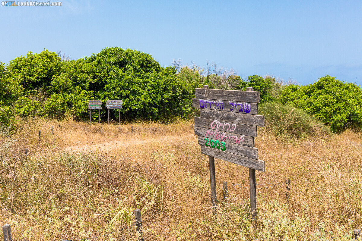 Израильская тропа, участок 15-1 Натания (Полег) - Арсуф Аполония| Israel National Trail | שביל ישראל, קטע 15- נתניה ארסוף אפולוניה | shvil.LookAtIsrael.com - Фото путешествия по Израилю