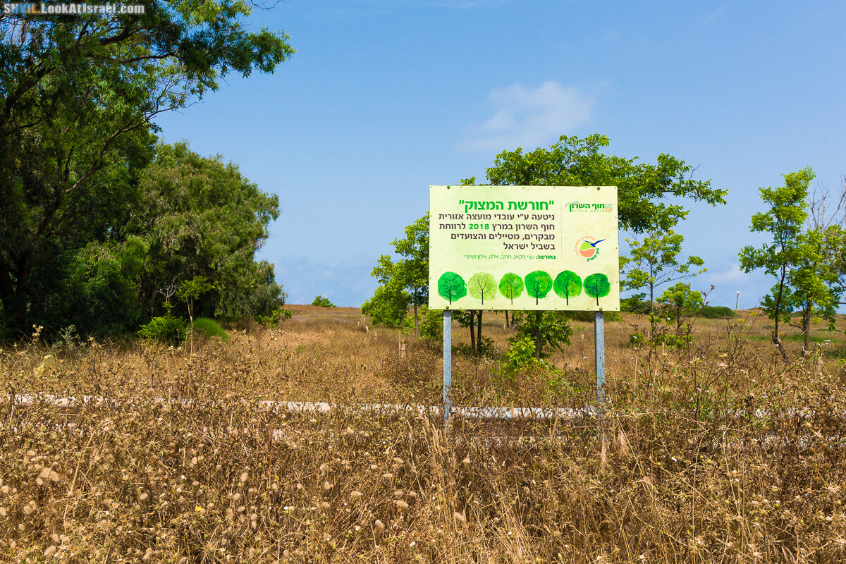 Израильская тропа, участок 15-1 Натания (Полег) - Арсуф Аполония| Israel National Trail | שביל ישראל, קטע 15- נתניה ארסוף אפולוניה | shvil.LookAtIsrael.com - Фото путешествия по Израилю