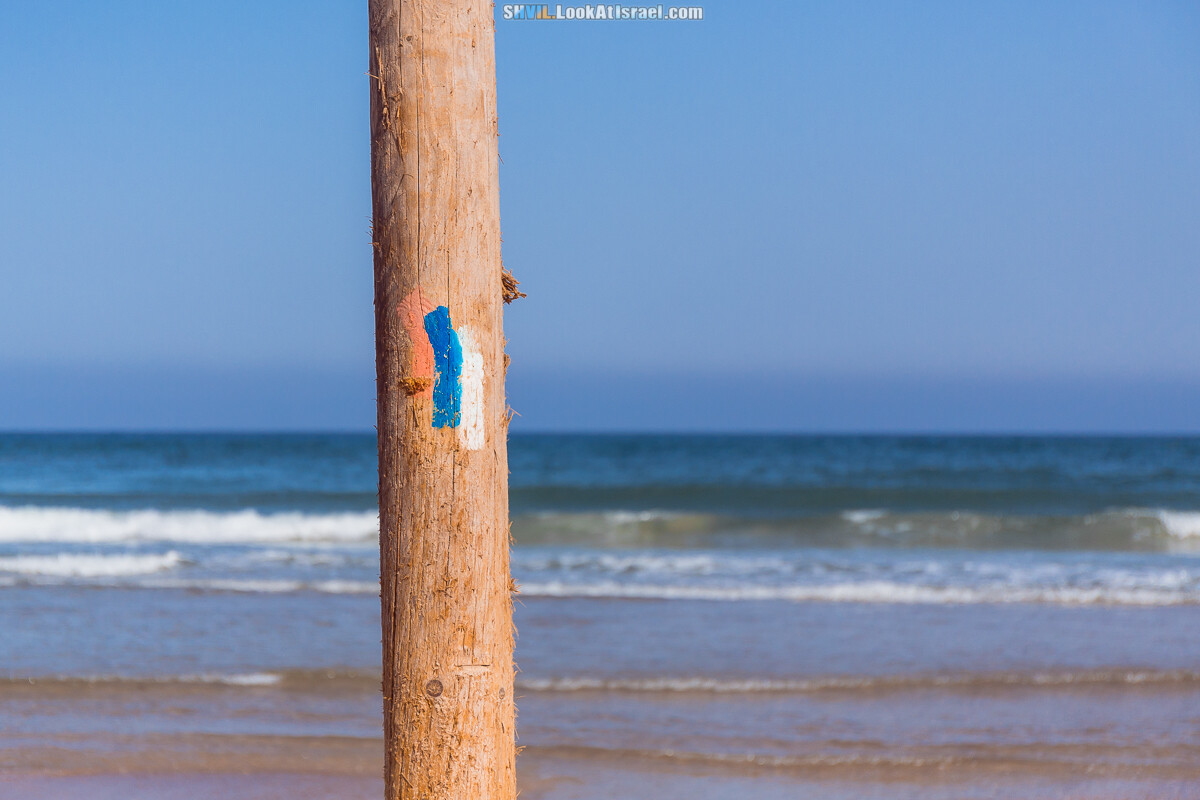 Тропа Израиля, участок 15-2: Аполония - Порт Тель-Авива