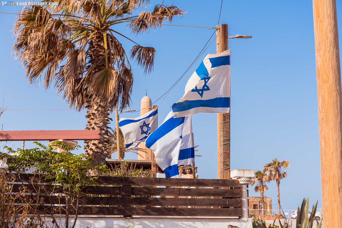 Израильская тропа, участок 15-2 Апполония (Арсуф) - Порт Тель-Авива | Israel National Trail | שביל ישראל, קטע 15-2 ארסוף נמל תל אביב | shvil.LookAtIsrael.com - Фото путешествия по Израилю