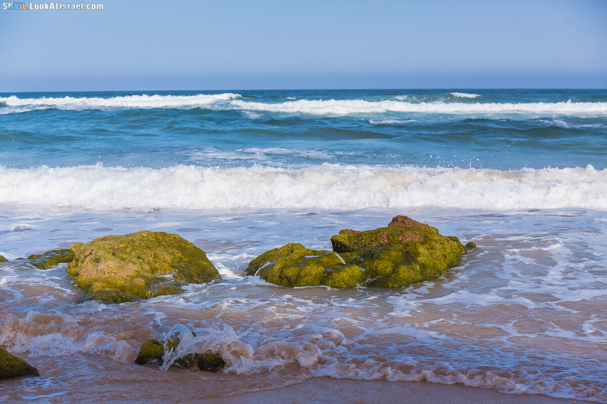 Израильская тропа, участок 15-2 Апполония (Арсуф) - Порт Тель-Авива | Israel National Trail | שביל ישראל, קטע 15-2 ארסוף נמל תל אביב | shvil.LookAtIsrael.com - Фото путешествия по Израилю