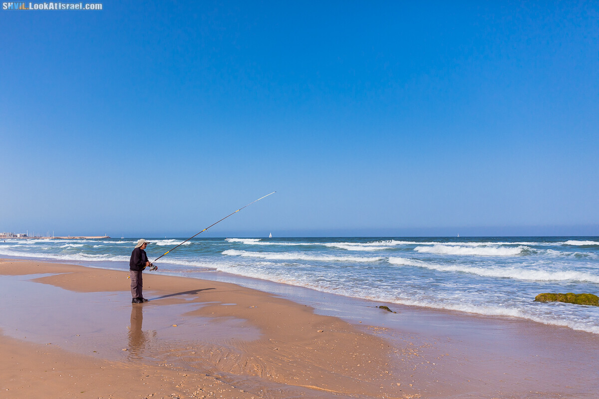 Израильская тропа, участок 15-2 Апполония (Арсуф) - Порт Тель-Авива | Israel National Trail | שביל ישראל, קטע 15-2 ארסוף נמל תל אביב | shvil.LookAtIsrael.com - Фото путешествия по Израилю
