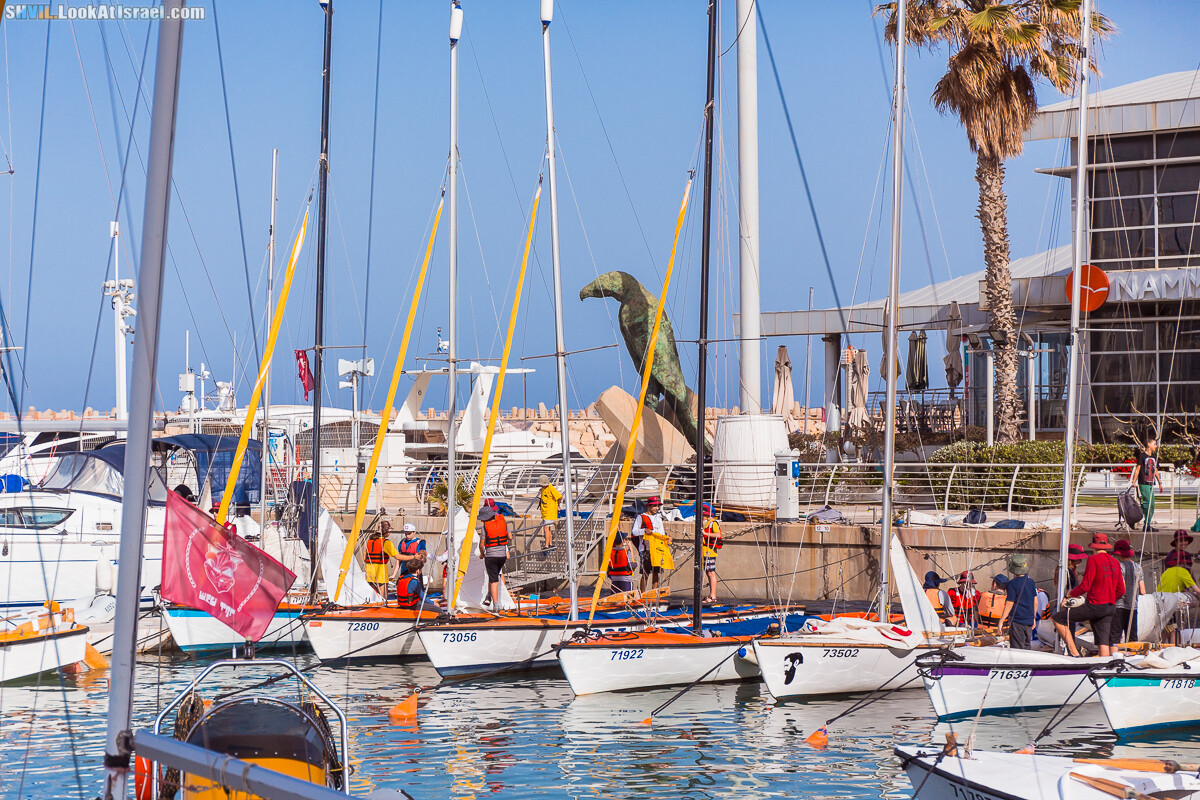 Израильская тропа, участок 15-2 Апполония (Арсуф) - Порт Тель-Авива | Israel National Trail | שביל ישראל, קטע 15-2 ארסוף נמל תל אביב | shvil.LookAtIsrael.com - Фото путешествия по Израилю