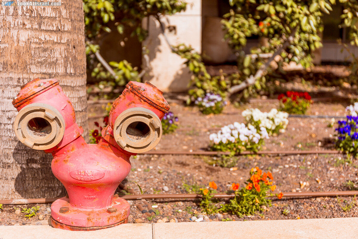 Израильская тропа, участок 15-2 Апполония (Арсуф) - Порт Тель-Авива | Israel National Trail | שביל ישראל, קטע 15-2 ארסוף נמל תל אביב | shvil.LookAtIsrael.com - Фото путешествия по Израилю
