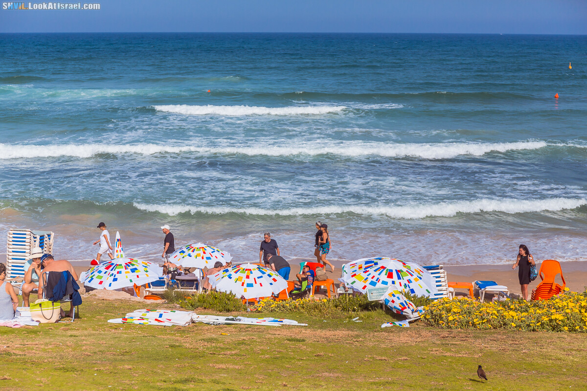 Израильская тропа, участок 15-2 Апполония (Арсуф) - Порт Тель-Авива | Israel National Trail | שביל ישראל, קטע 15-2 ארסוף נמל תל אביב | shvil.LookAtIsrael.com - Фото путешествия по Израилю