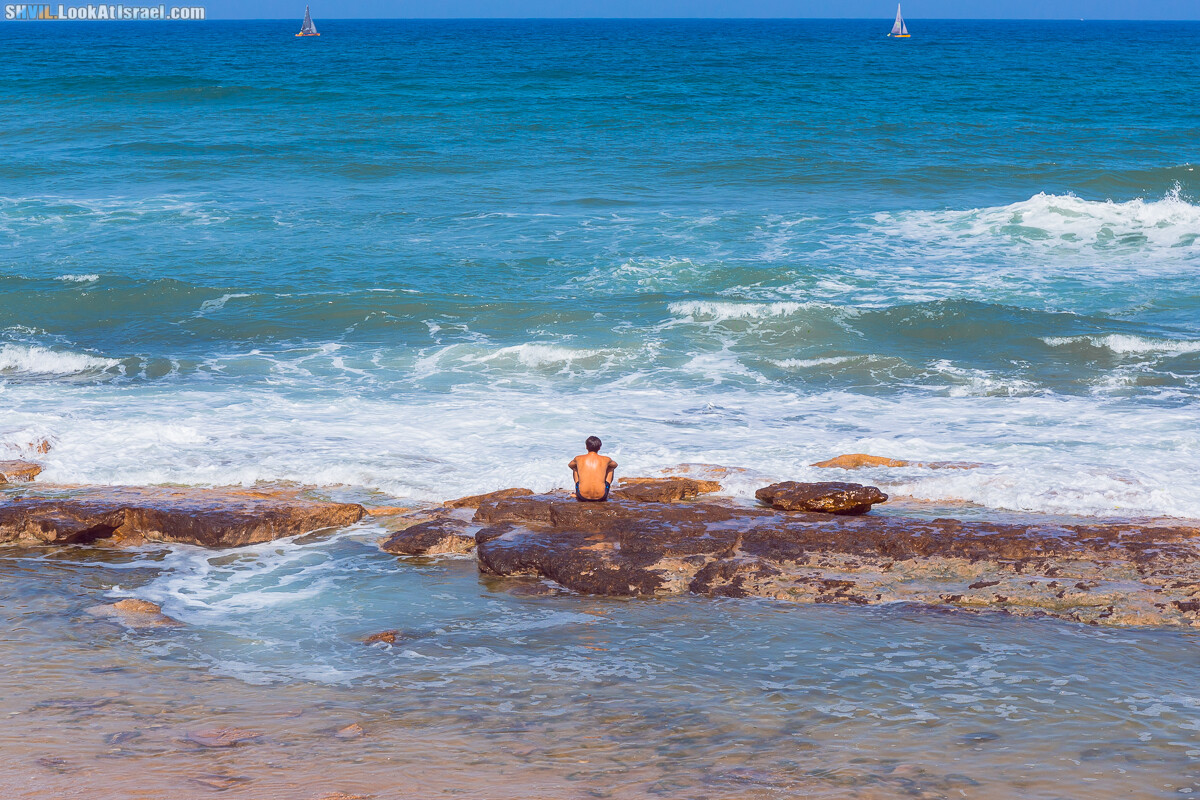 Израильская тропа, участок 15-2 Апполония (Арсуф) - Порт Тель-Авива | Israel National Trail | שביל ישראל, קטע 15-2 ארסוף נמל תל אביב | shvil.LookAtIsrael.com - Фото путешествия по Израилю