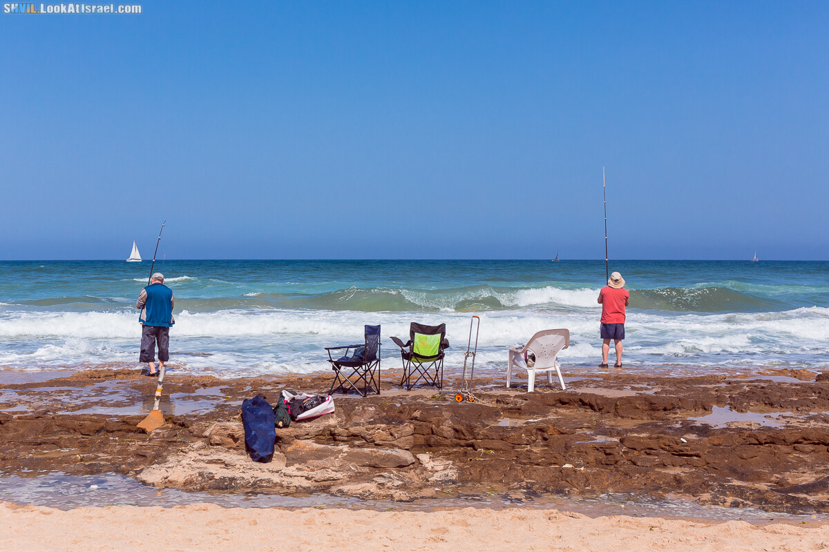 Израильская тропа, участок 15-2 Апполония (Арсуф) - Порт Тель-Авива | Israel National Trail | שביל ישראל, קטע 15-2 ארסוף נמל תל אביב | shvil.LookAtIsrael.com - Фото путешествия по Израилю