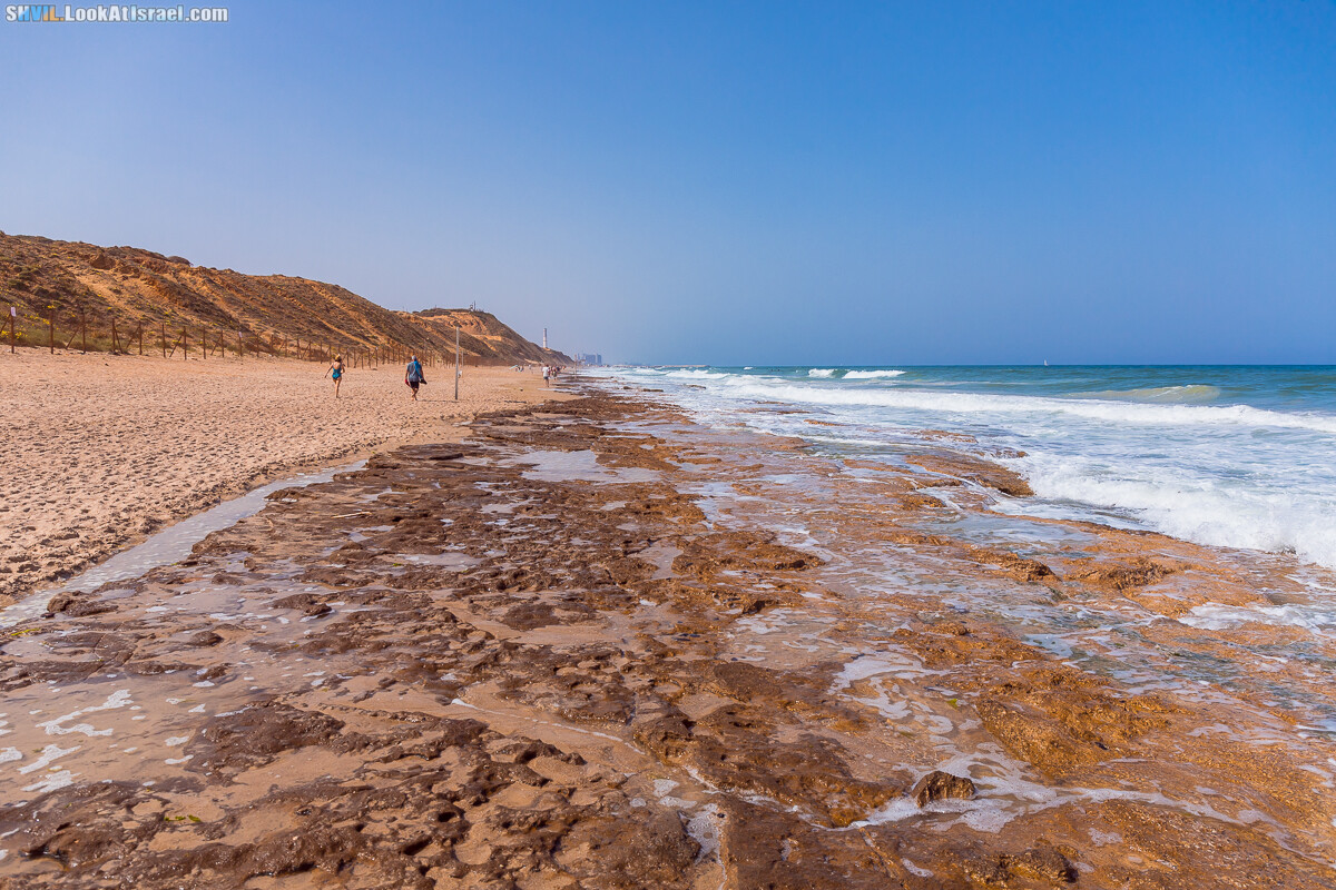 Израильская тропа, участок 15-2 Апполония (Арсуф) - Порт Тель-Авива | Israel National Trail | שביל ישראל, קטע 15-2 ארסוף נמל תל אביב | shvil.LookAtIsrael.com - Фото путешествия по Израилю