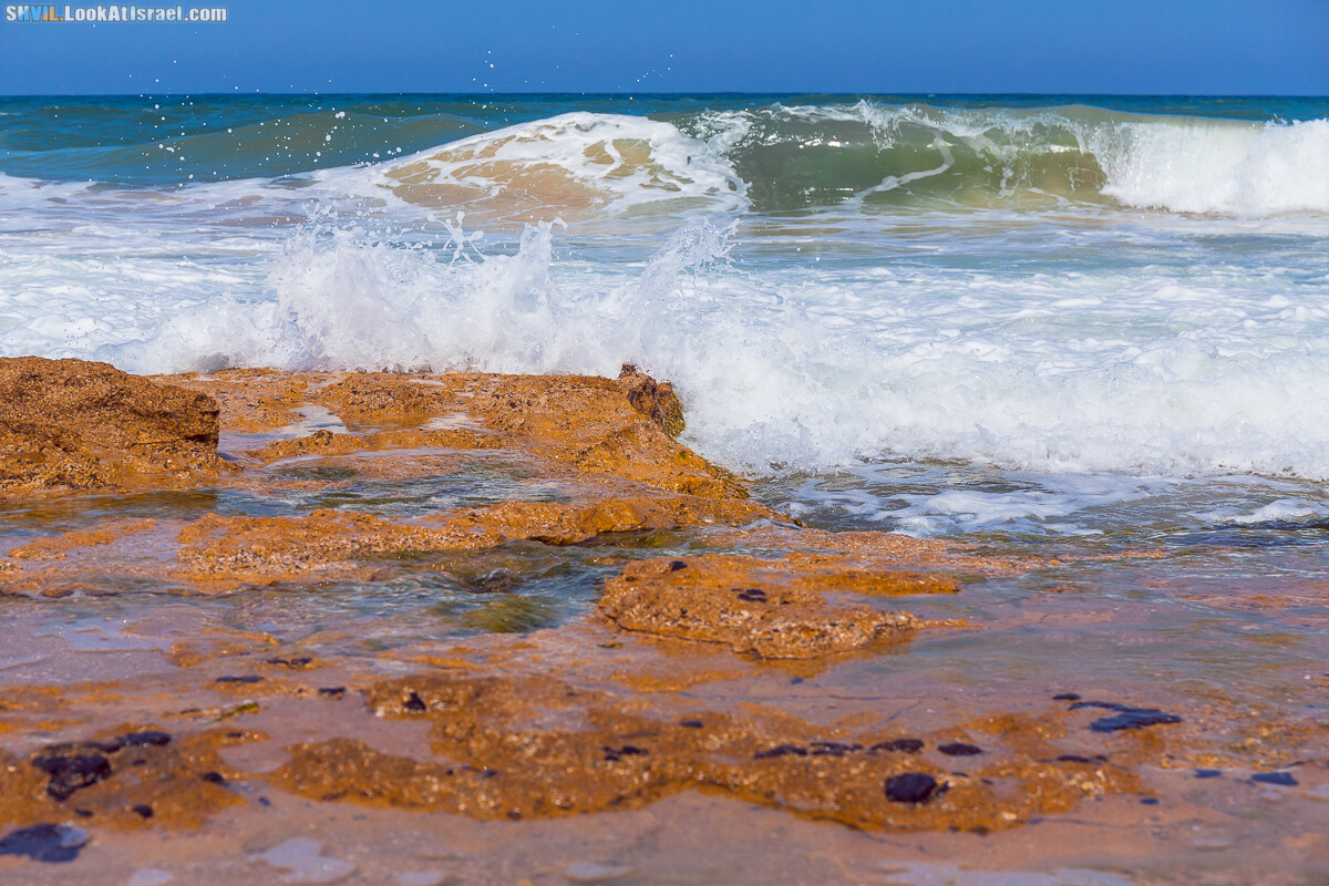 Израильская тропа, участок 15-2 Апполония (Арсуф) - Порт Тель-Авива | Israel National Trail | שביל ישראל, קטע 15-2 ארסוף נמל תל אביב | shvil.LookAtIsrael.com - Фото путешествия по Израилю
