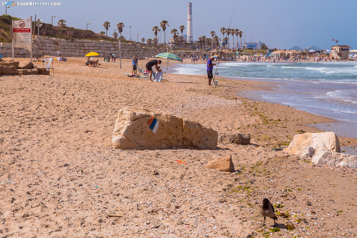 Израильская тропа, участок 15-2 Апполония (Арсуф) - Порт Тель-Авива | Israel National Trail | שביל ישראל, קטע 15-2 ארסוף נמל תל אביב | shvil.LookAtIsrael.com - Фото путешествия по Израилю