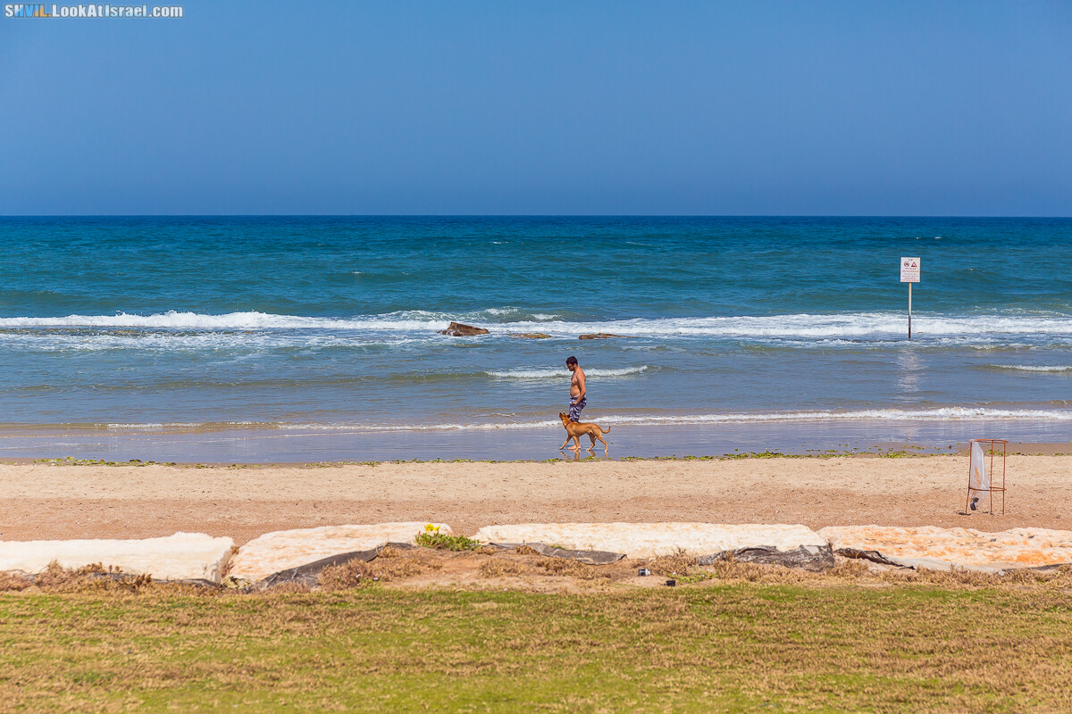 Израильская тропа, участок 15-2 Апполония (Арсуф) - Порт Тель-Авива | Israel National Trail | שביל ישראל, קטע 15-2 ארסוף נמל תל אביב | shvil.LookAtIsrael.com - Фото путешествия по Израилю