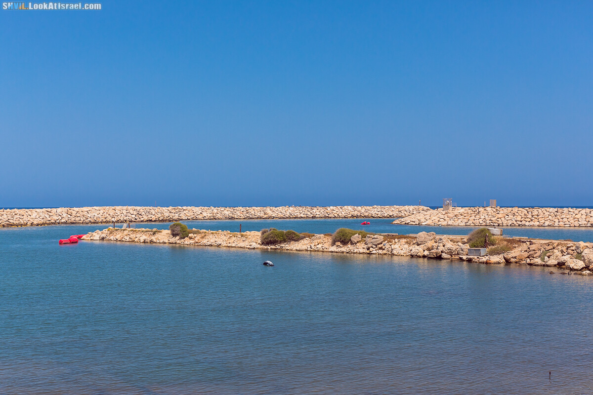 Израильская тропа, участок 15-2 Апполония (Арсуф) - Порт Тель-Авива | Israel National Trail | שביל ישראל, קטע 15-2 ארסוף נמל תל אביב | shvil.LookAtIsrael.com - Фото путешествия по Израилю
