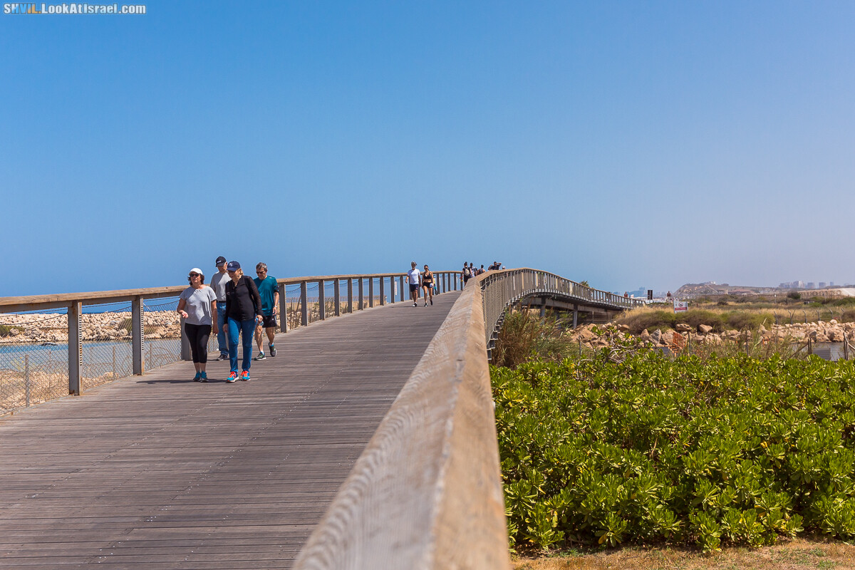 Израильская тропа, участок 15-2 Апполония (Арсуф) - Порт Тель-Авива | Israel National Trail | שביל ישראל, קטע 15-2 ארסוף נמל תל אביב | shvil.LookAtIsrael.com - Фото путешествия по Израилю