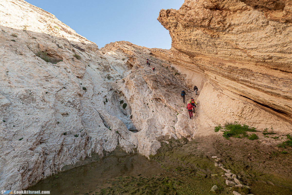 Израильская тропа, участок 32 Гора Карболет | Israel National Trail 32 Mt Karbolet | שביל ישראל, קטע 32- הר כרבולת | shvil.LookAtIsrael.com - Фото путешествия по Израилю