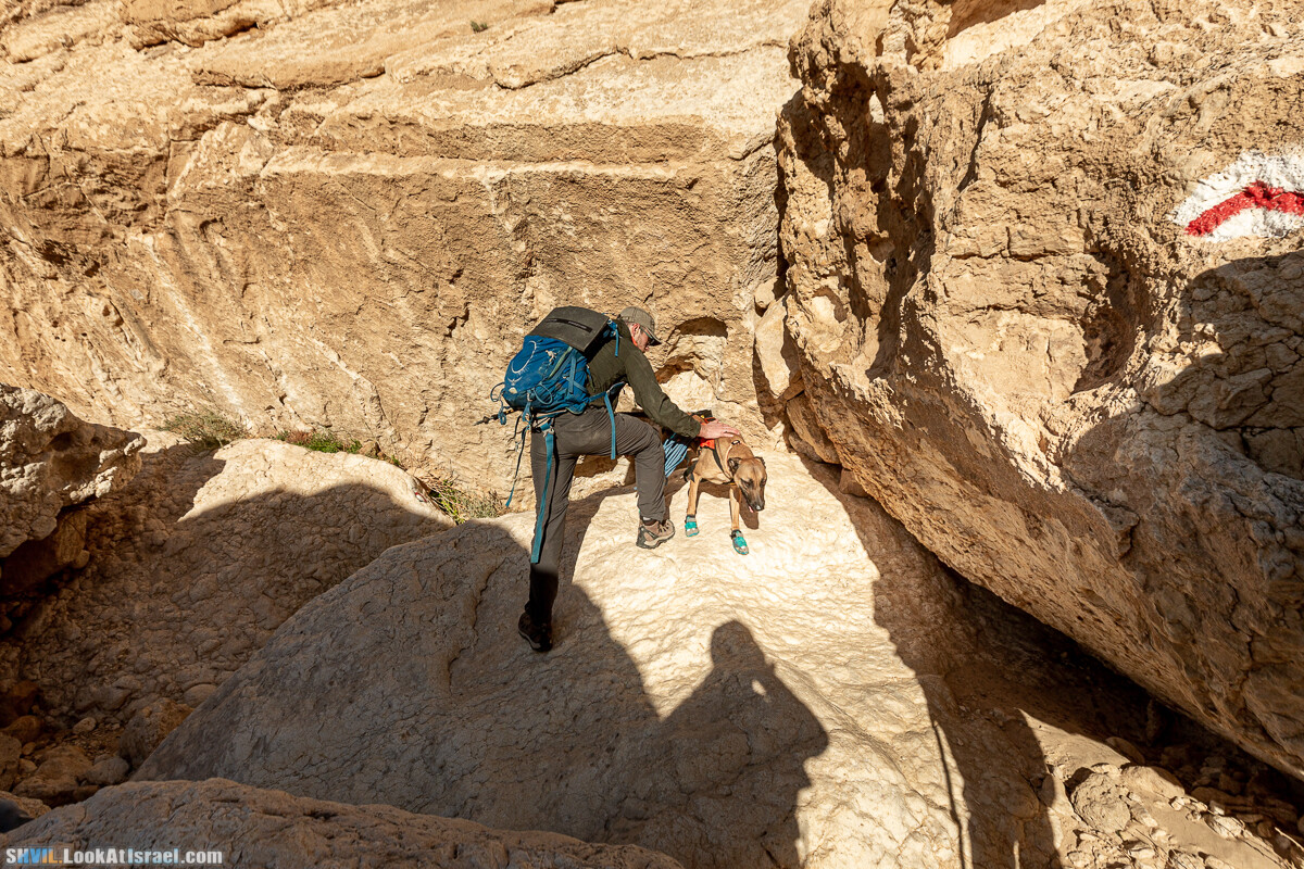 Израильская тропа, участок 32 Гора Карболет | Israel National Trail 32 Mt Karbolet | שביל ישראל, קטע 32- הר כרבולת | shvil.LookAtIsrael.com - Фото путешествия по Израилю