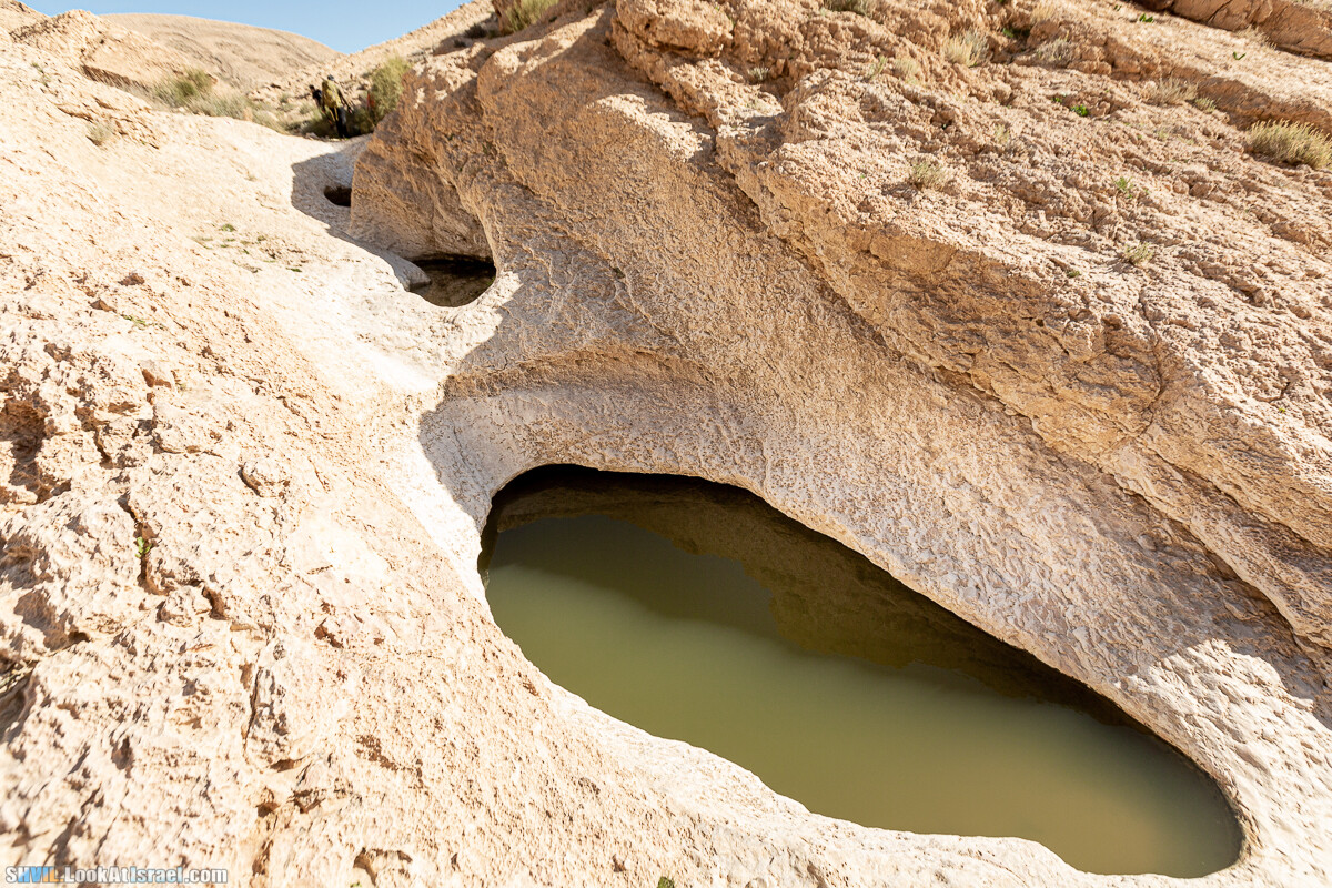 Израильская тропа, участок 32 Гора Карболет | Israel National Trail 32 Mt Karbolet | שביל ישראל, קטע 32- הר כרבולת | shvil.LookAtIsrael.com - Фото путешествия по Израилю