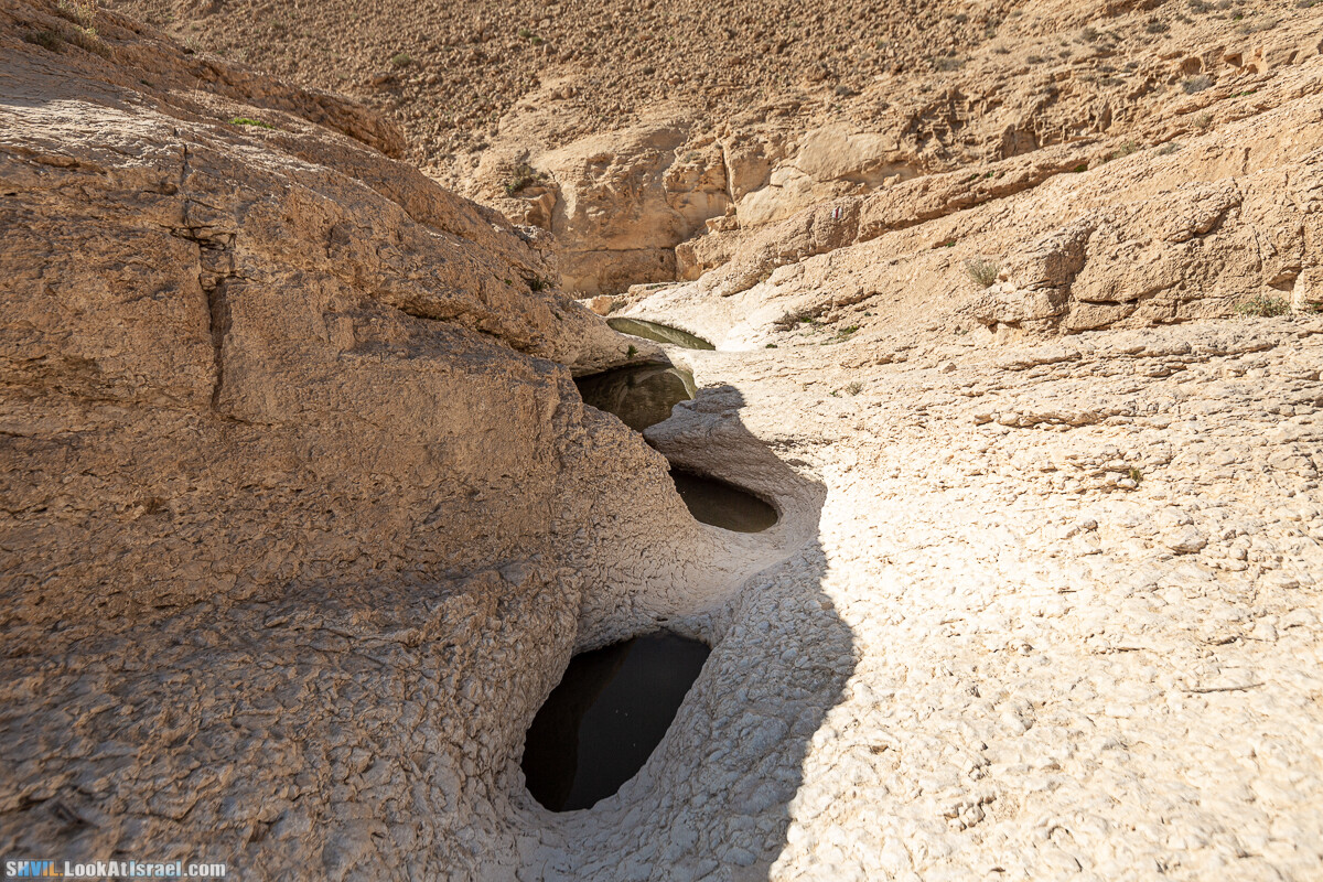 Израильская тропа, участок 32 Гора Карболет | Israel National Trail 32 Mt Karbolet | שביל ישראל, קטע 32- הר כרבולת | shvil.LookAtIsrael.com - Фото путешествия по Израилю