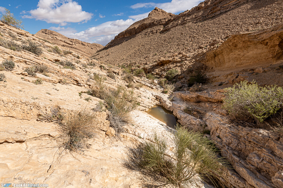 Израильская тропа, участок 32 Гора Карболет | Israel National Trail 32 Mt Karbolet | שביל ישראל, קטע 32- הר כרבולת | shvil.LookAtIsrael.com - Фото путешествия по Израилю