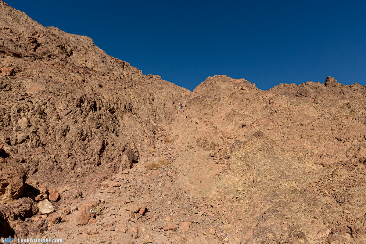 Израильская тропа, участок 46 Гора Йоаш - Вади Гешрон - Эйлат | Israel National Trail - Yoash Mt - Eilat | שביל ישראל, קטע 46 - הר יואש - אילת | shvil.LookAtIsrael.com - Фото путешествия по Израилю
