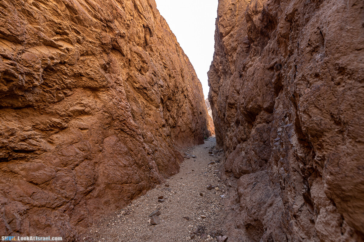 Израильская тропа, участок 46 Гора Йоаш - Вади Гешрон - Эйлат | Israel National Trail - Yoash Mt - Eilat | שביל ישראל, קטע 46 - הר יואש - אילת | shvil.LookAtIsrael.com - Фото путешествия по Израилю
