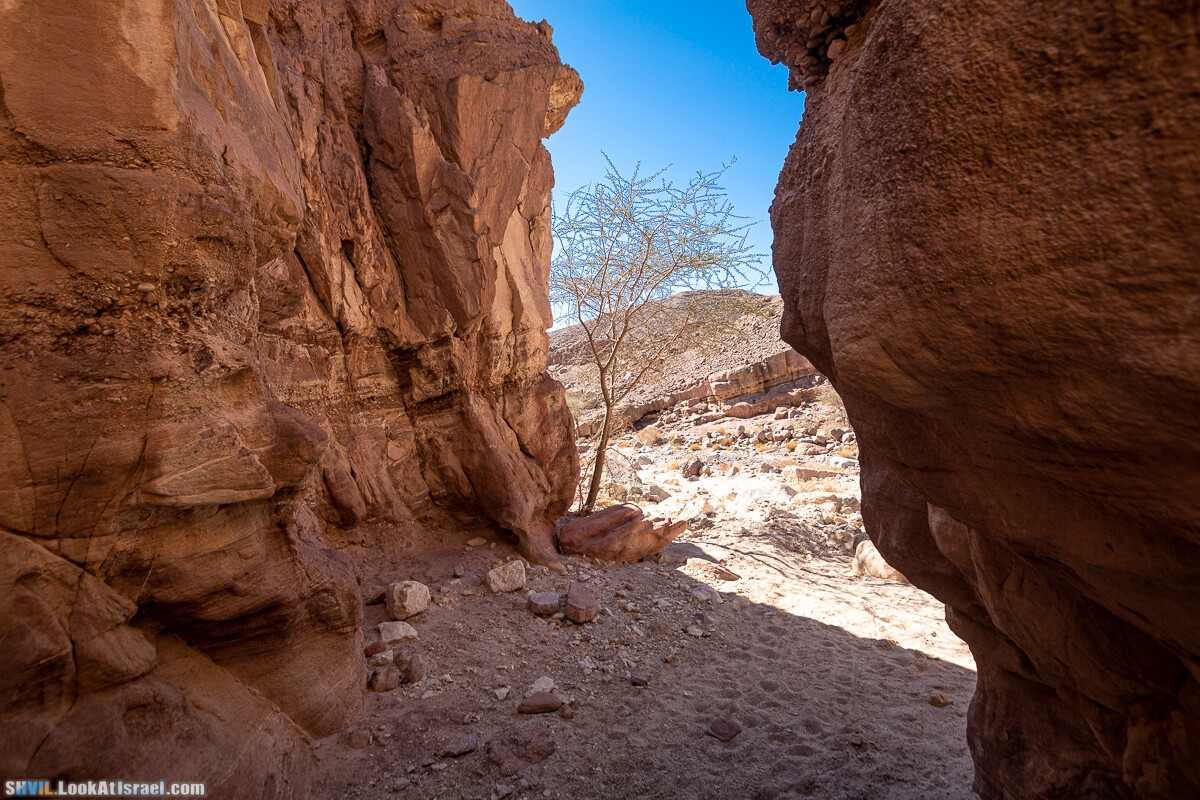 Израильская тропа, участок 46 Гора Йоаш - Вади Гешрон - Эйлат | Israel National Trail - Yoash Mt - Eilat | שביל ישראל, קטע 46 - הר יואש - אילת | shvil.LookAtIsrael.com - Фото путешествия по Израилю