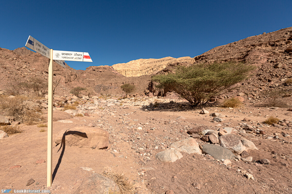 Израильская тропа, участок 46 Гора Йоаш - Вади Гешрон - Эйлат | Israel National Trail - Yoash Mt - Eilat | שביל ישראל, קטע 46 - הר יואש - אילת | shvil.LookAtIsrael.com - Фото путешествия по Израилю