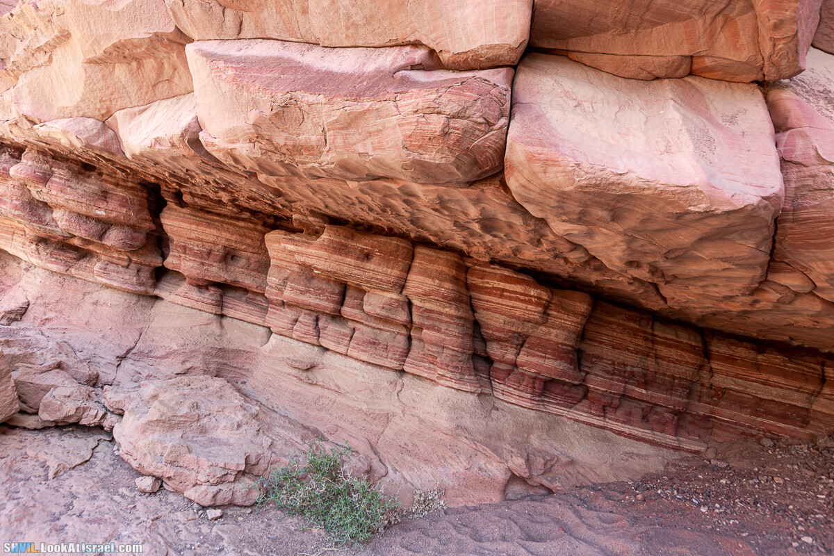Израильская тропа, участок 46 Гора Йоаш - Вади Гешрон - Эйлат | Israel National Trail - Yoash Mt - Eilat | שביל ישראל, קטע 46 - הר יואש - אילת | shvil.LookAtIsrael.com - Фото путешествия по Израилю